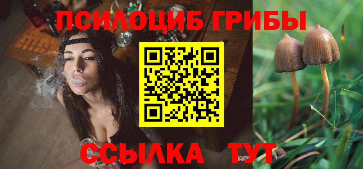 Галлюциногенные грибы прущие грибы Алапаевск